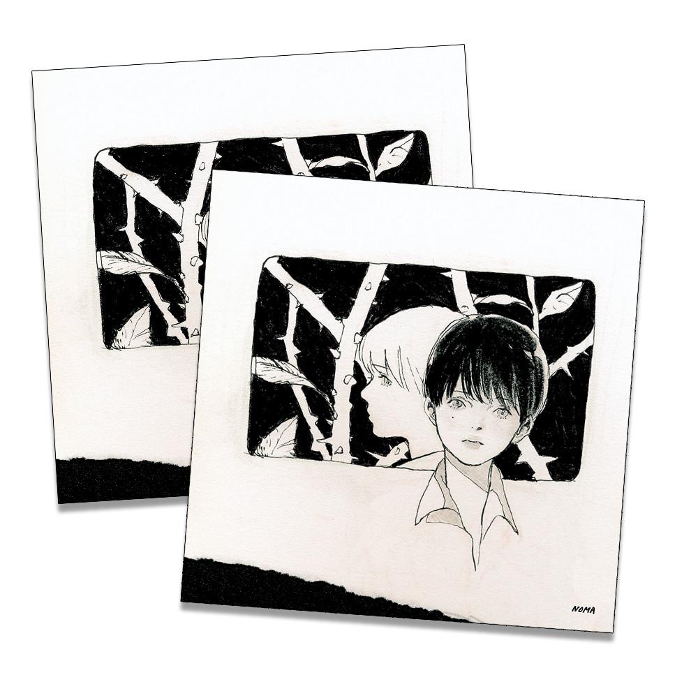 가시나무 / 엽서 / 노마 NOMA nomadic 일러스트엽서 문구 굿즈 노마딕