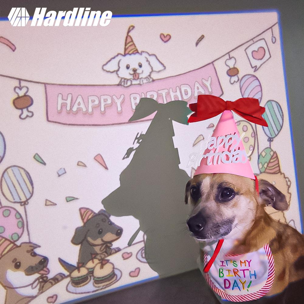 [미니빔+고깔+턱받이]하드라인 울애기생일빔 강아지 고양이 미니빔 생일파티 반려동물 선물