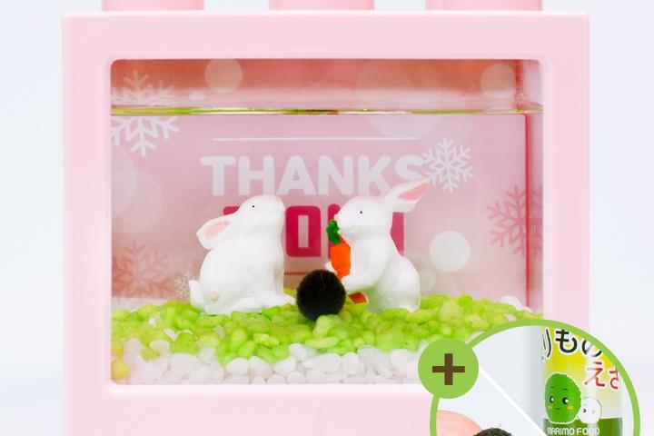 당근밀당중 토끼장식 마리모키우기 세트 마리모 포함