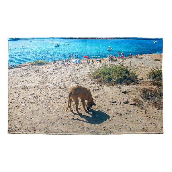 Spain ibiza, landscape rug