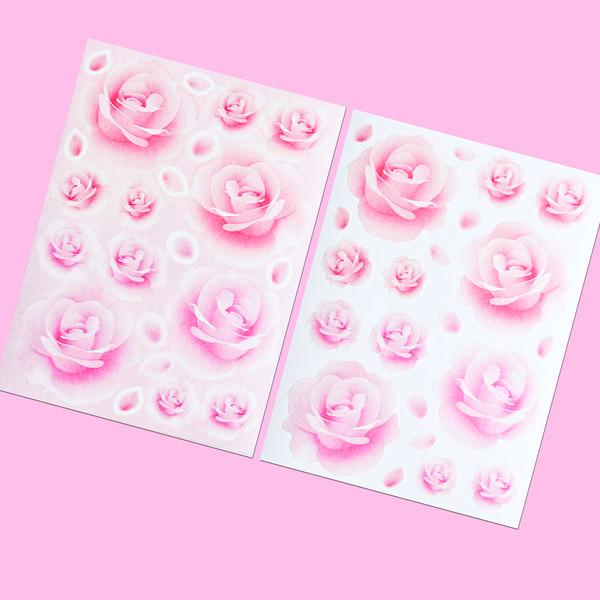 마시랜드 | 블러로즈(2종)