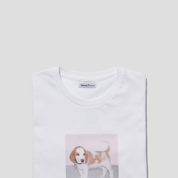 Baby Dog Tee Shirts