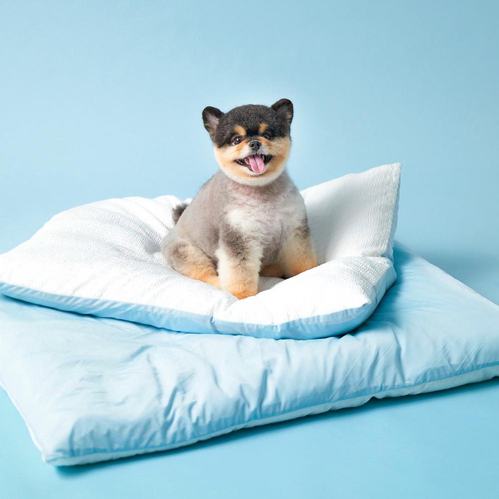 아르르 꿀잠이불 쿨링에디션 강아지 고양이 쿠션 쿨매트 반려견 반려묘 방석 털 안박히는 모달이불