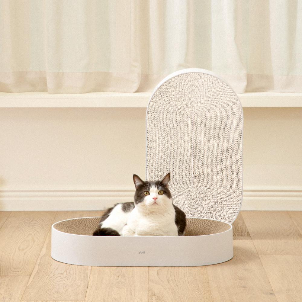 두잇 올데이 보드 NEW 화이트/브라운