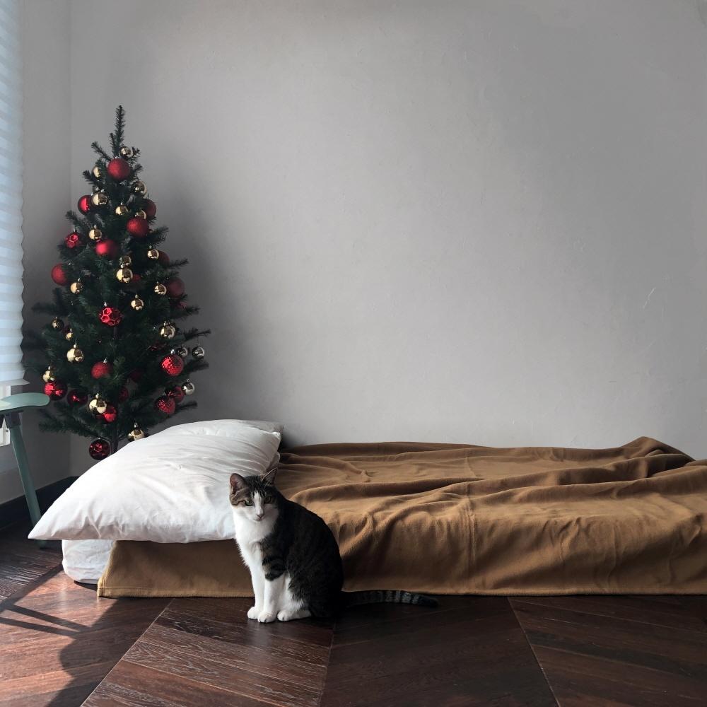 BOLD BLANKET (L) -볼드블랭킷 5 colors