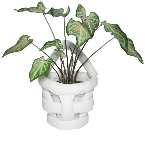 plant basket