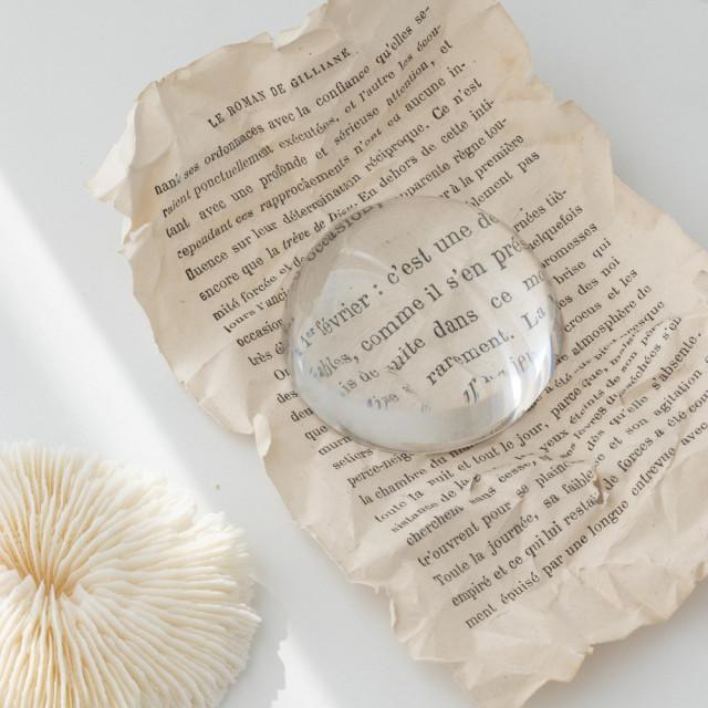 [몬트레소르] 유리문진 유리돔 크리스탈 문진