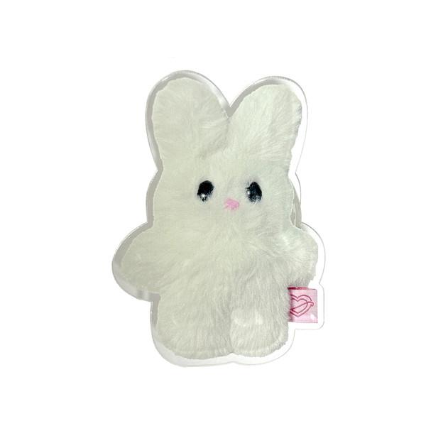 bunny 톡