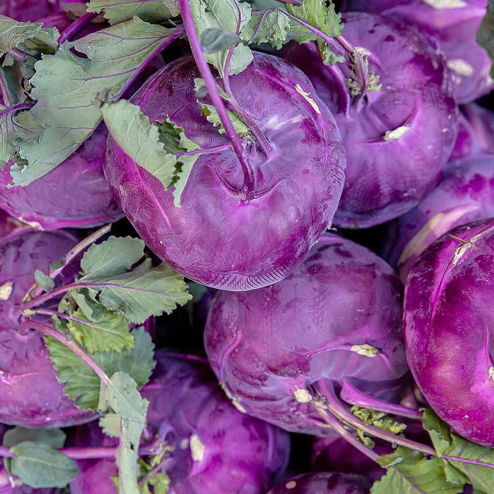 제주농협 콜라비 3.3kg내외(6입) 개당550-700g [원산지:국산]
