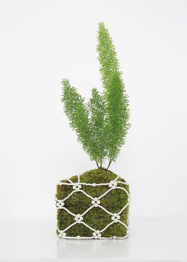 퍼르퍼르 메이리