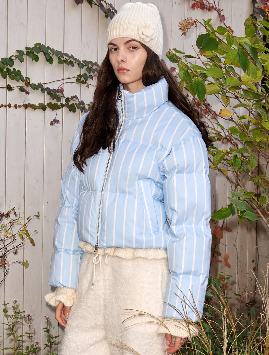 STRIPE CROP GOOSE DOWN