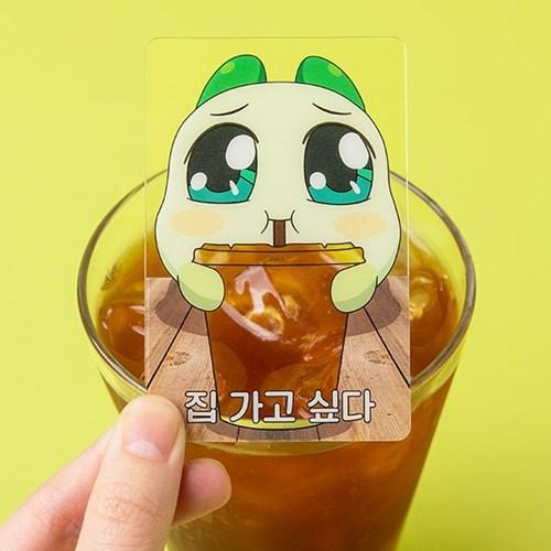 쿵야 레스토랑즈 신장개업 와앙 포토카드(5매입)