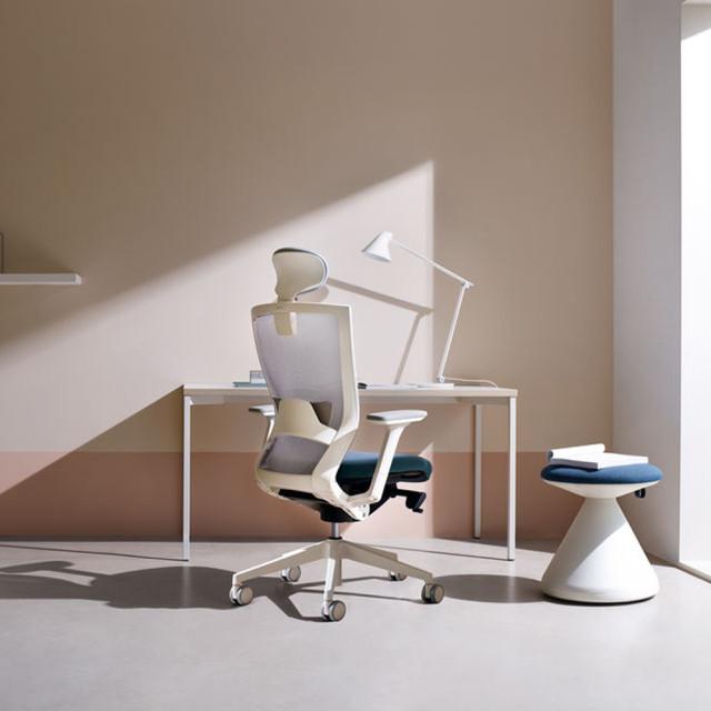 [시디즈]T50 시리즈 NEW T500HLDA 화이트쉘 메쉬의자(TNB500HLDA)