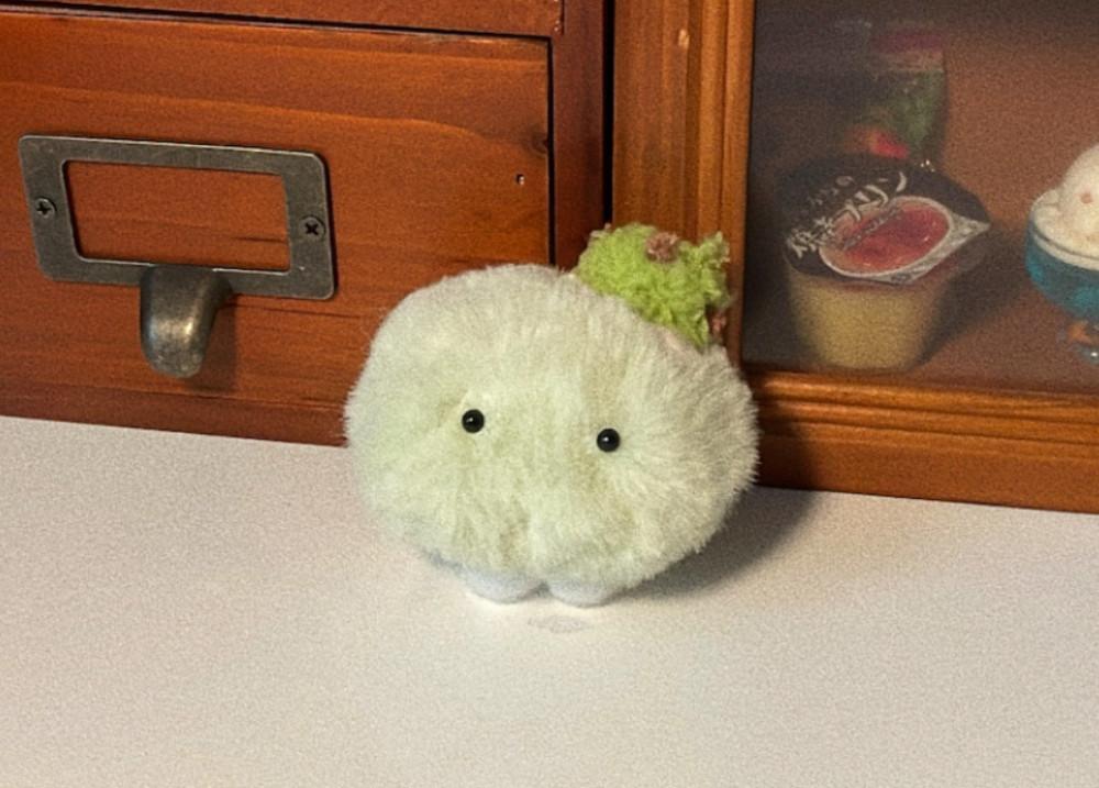 메론소르베 한덩이 🍈🐢