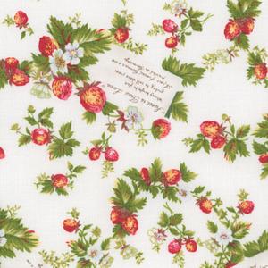 Quilters Collection-25
