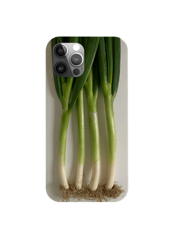 Leek case