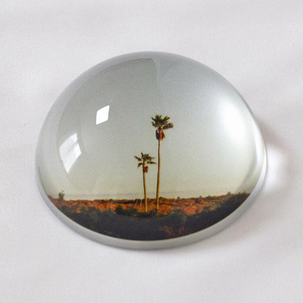 PalmTree 오브제 유리 문진