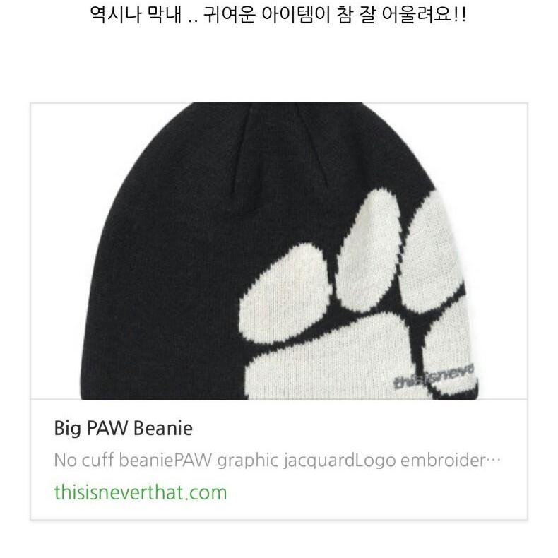 디네댓 big paw 비니