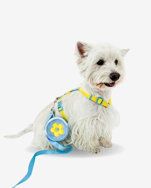 투프 플라워 로고 H 하네스 l 옐로블루