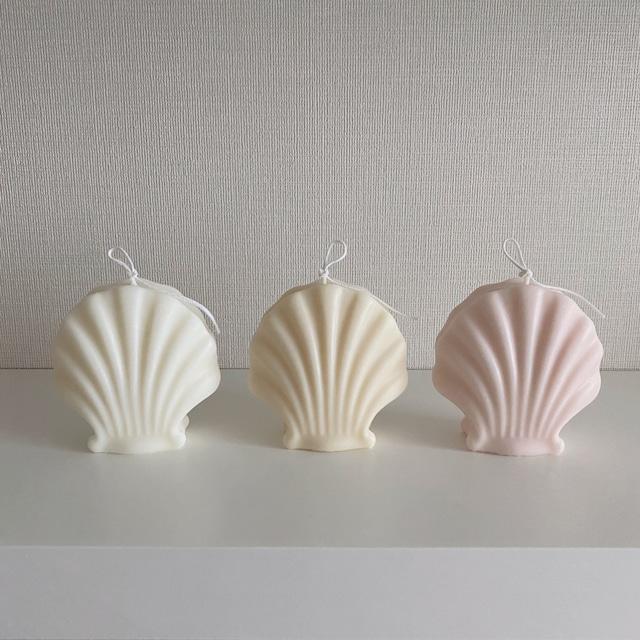 shell candle