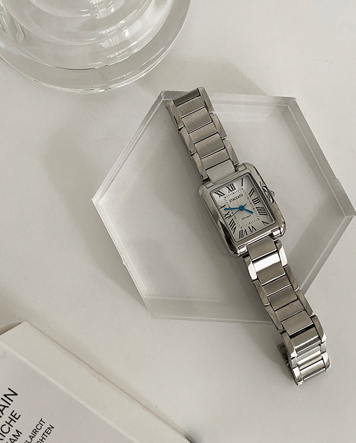 Star metal watch