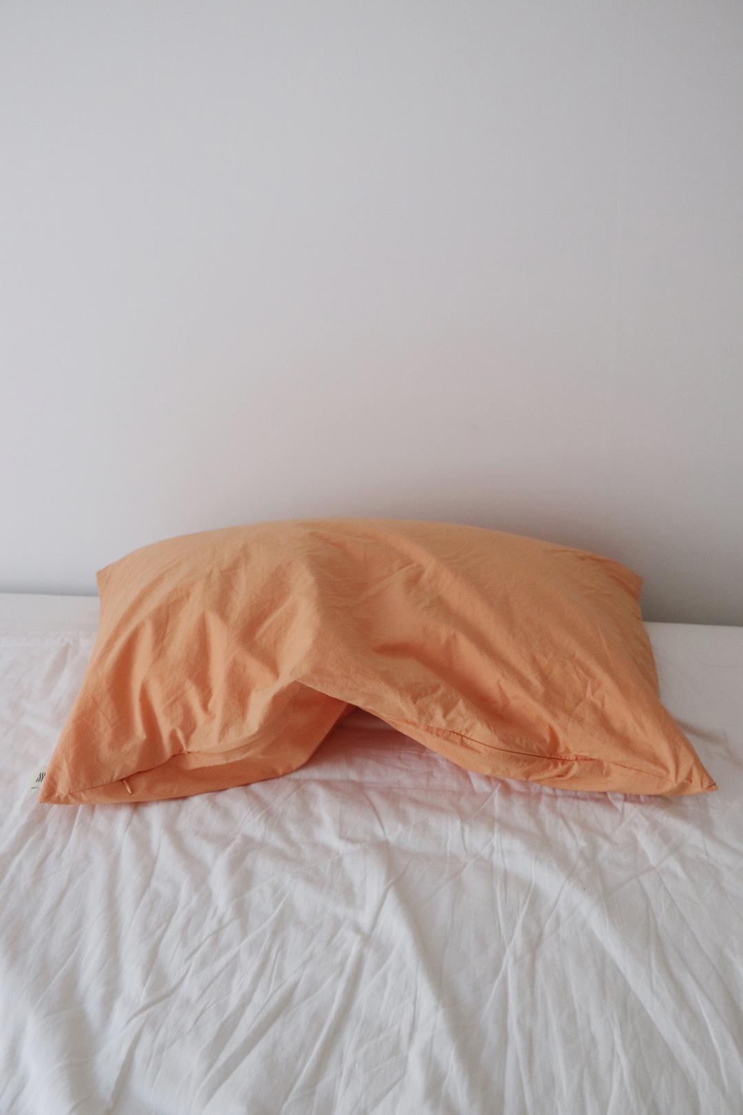 Salmon pillow cover