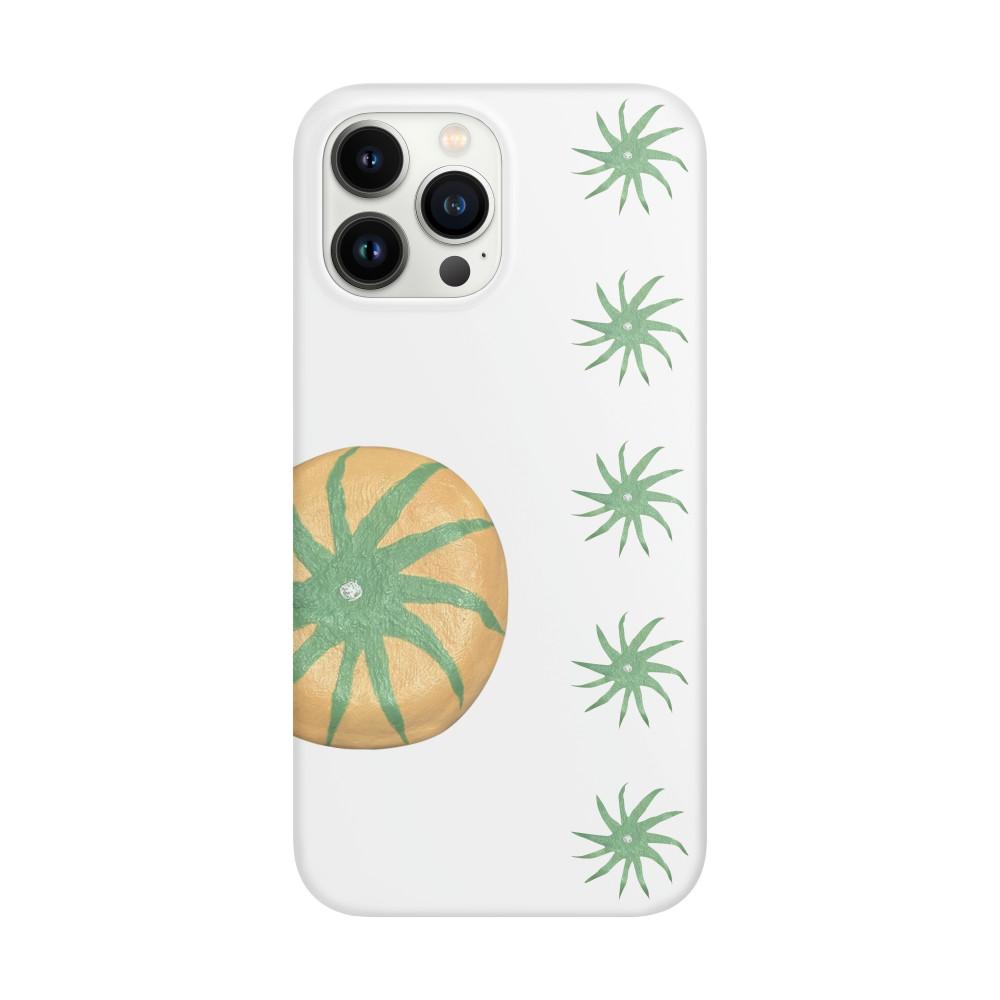 phone case 14. TOMATO TOP