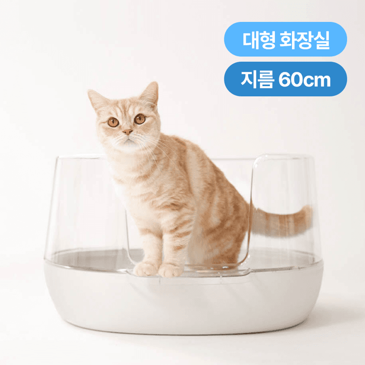 [첫구매EVENT] 냥쌤 투명화장실 - 핏펫몰