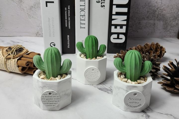 샤쉐스톤 통통 선인장 화분 석고방향제+향 오일 5ml