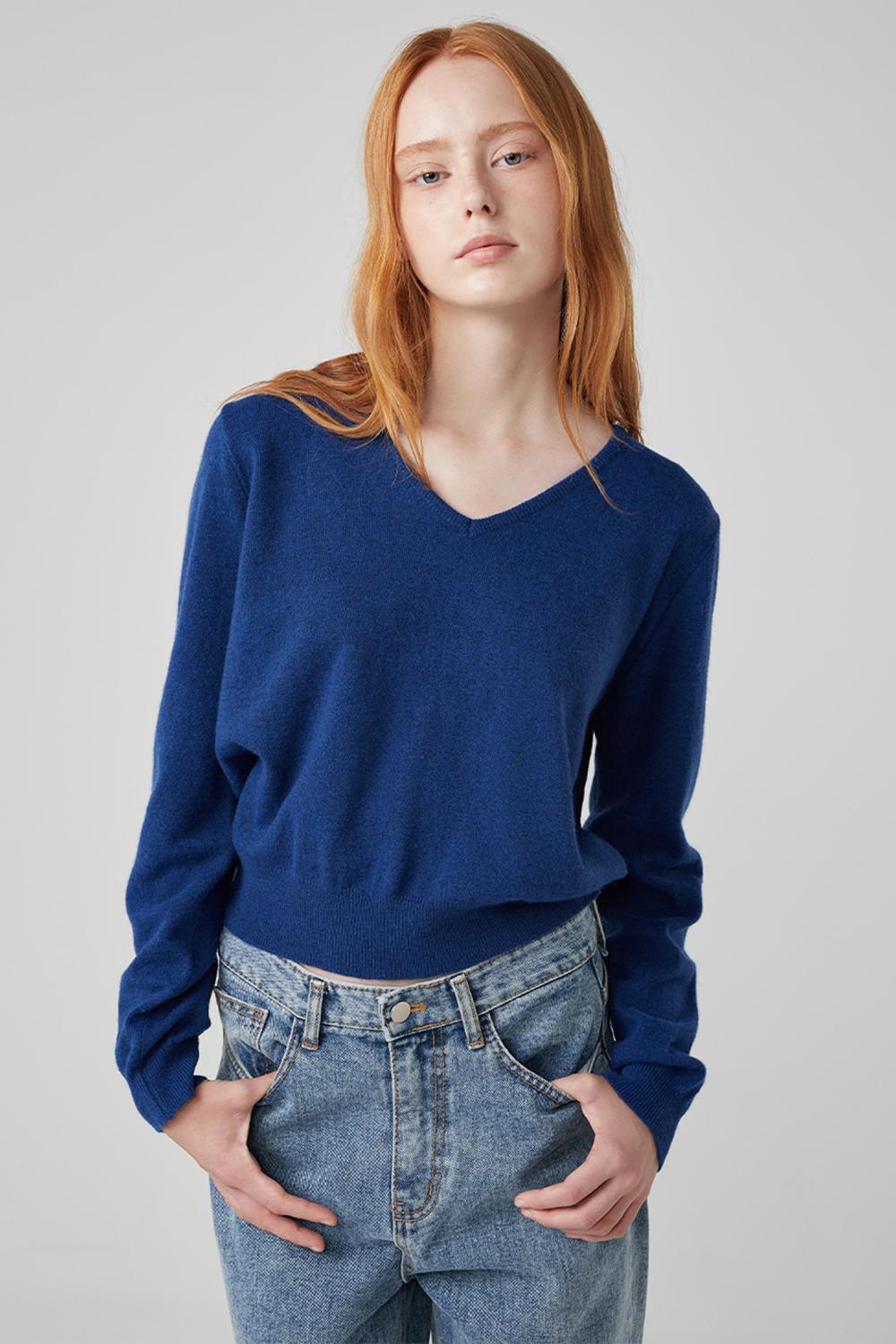 Elie V-neck wool knit_blue