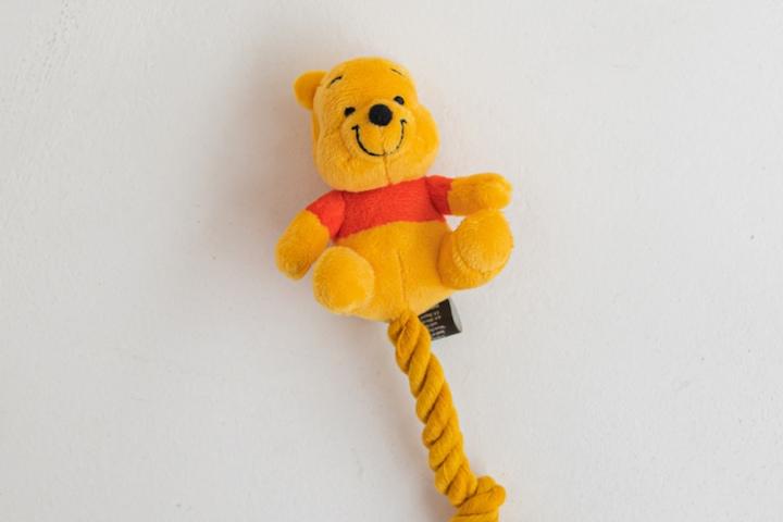 댄 강아지 터그놀이 디즈니 로프장난감 푸