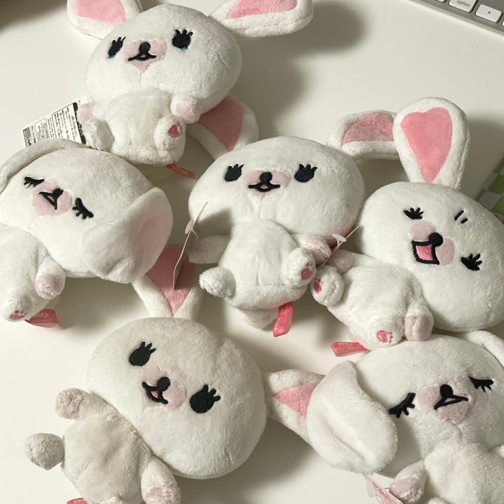 모피 인형 모음