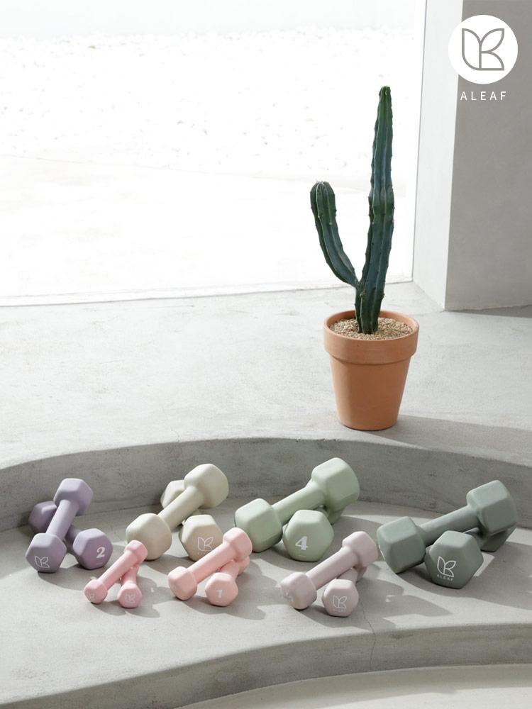 아리프 선인장 미용아령 2개 세트 0.5kg 1kg 1.5kg 2kg 3kg 4kg 5kg 덤벨 여성아령 컬러아령