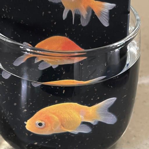 [친환경] 갈라파고스 금붕어 생분해 폰케이스