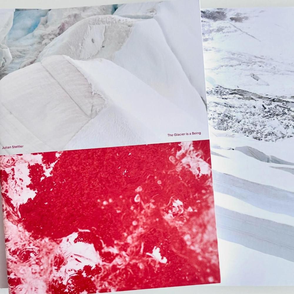 [줄리앙 스테틀러] [Julian Stettler] - The Glacier is a Being
