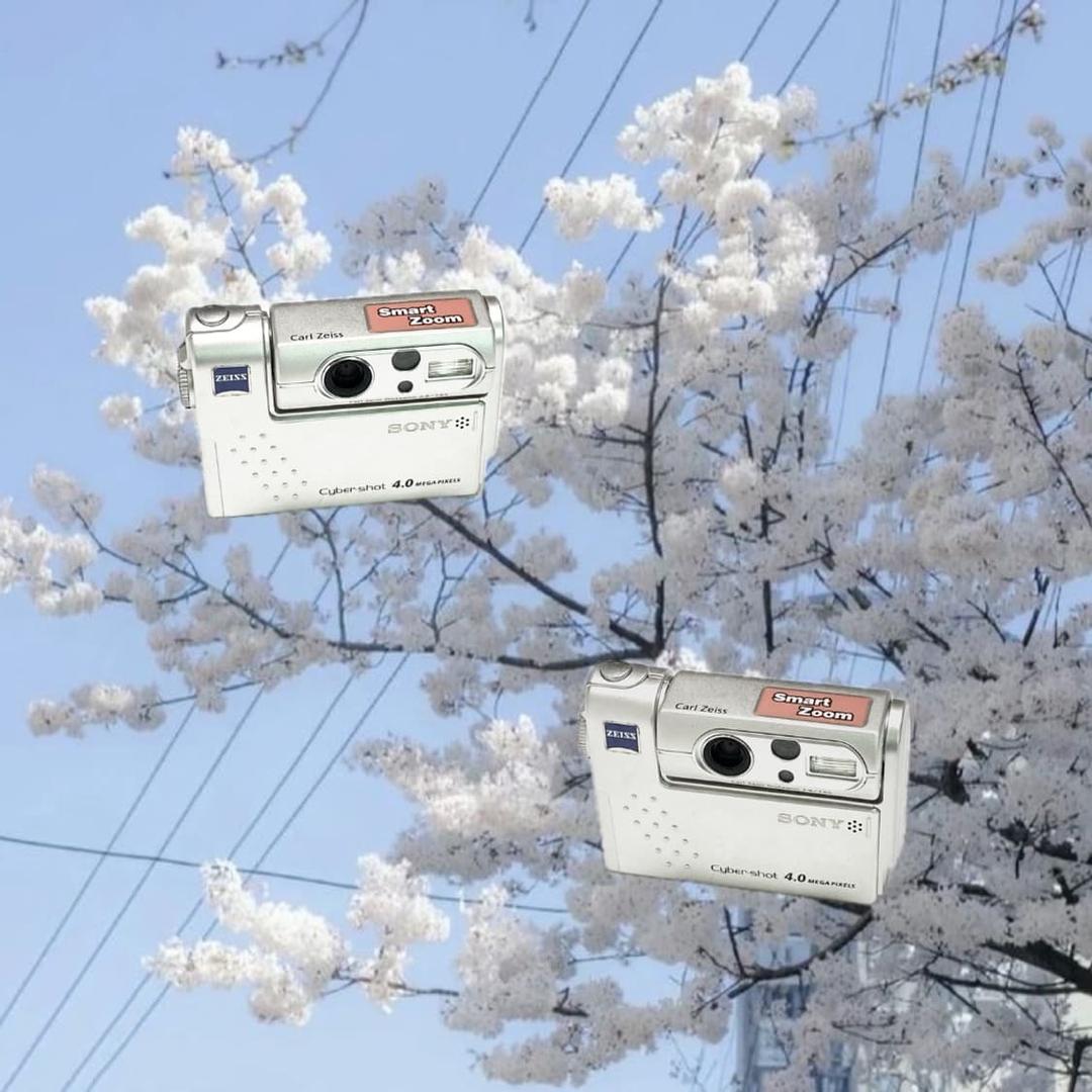 셀카&초희귀!) Sony Cyber-shot F77디카 | 후루츠패밀리