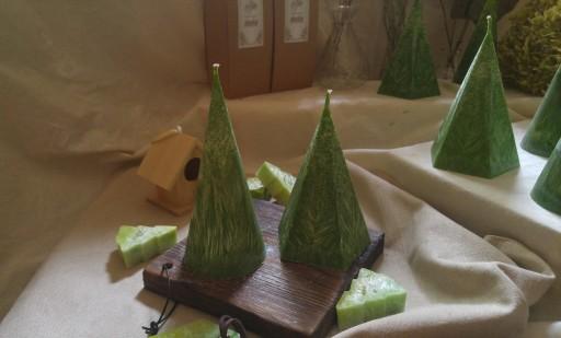 🌳 la forêt: 숲의 요정들