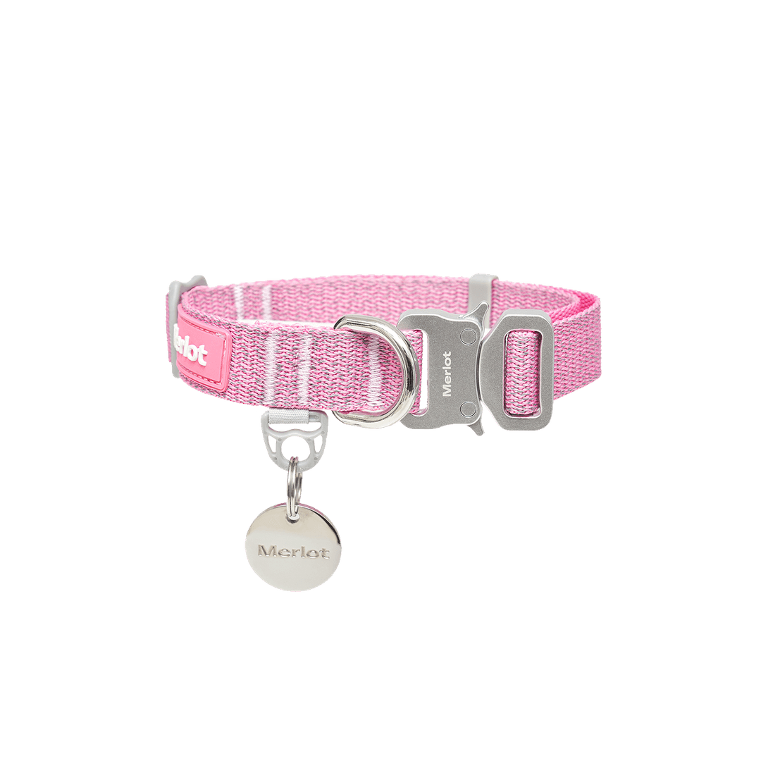 Holy™ Collar Pink