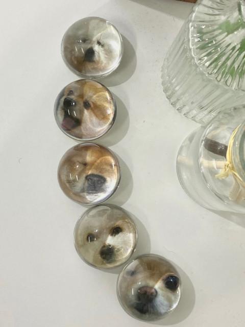 하익스 자체제작 고양이 강아지 반려견 반려묘 반구 핸드폰 그립톡 제작