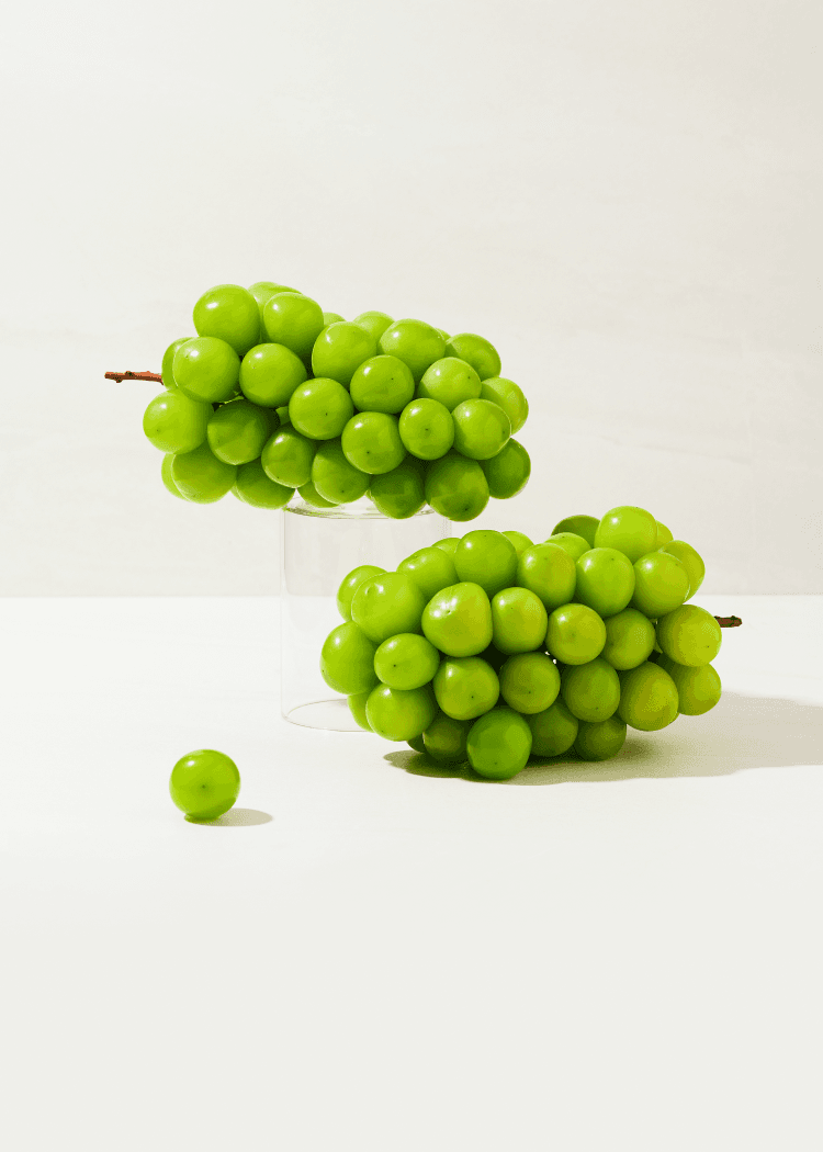 망고향 가득 고당도 샤인머스켓 1.3kg/2kg이상(2송이-3송이)