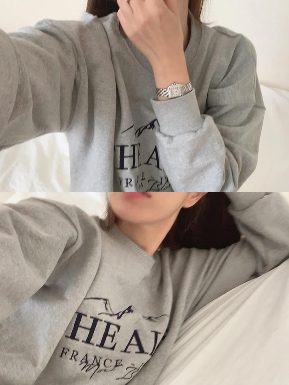 Alps Sweatshirt [3colors]