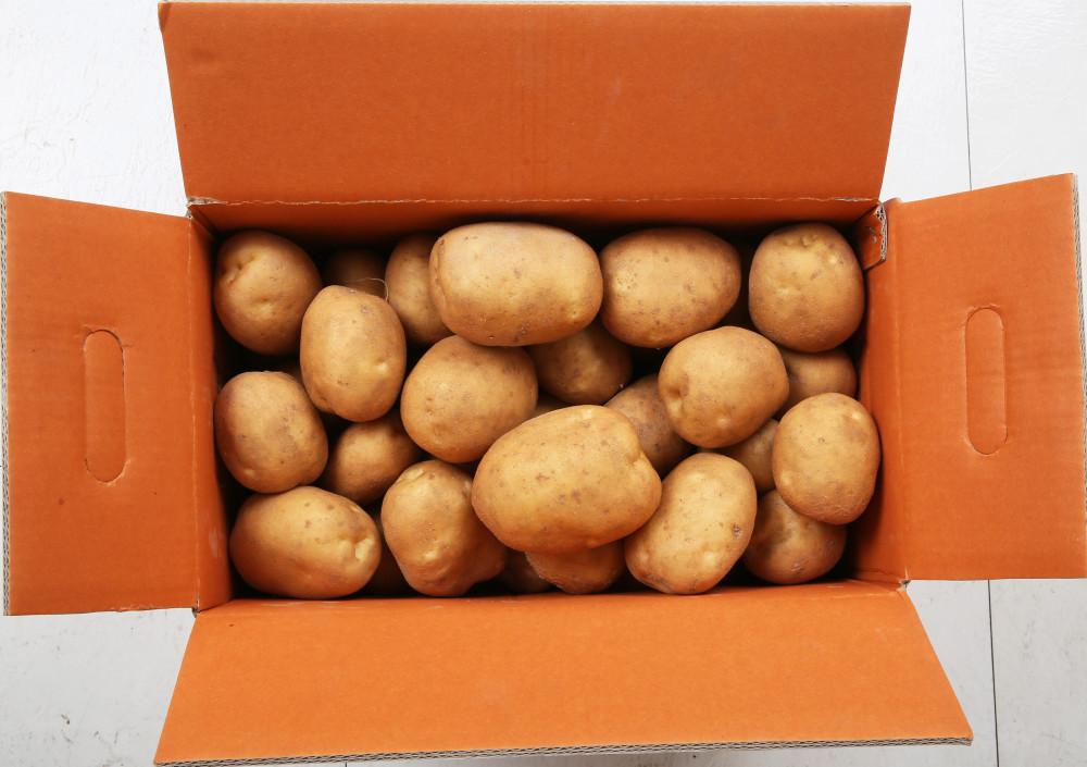 2023년 햇감자 두백감자 왕왕/왕/특/상 20kg 10kg 5kg 3kg [원산지:국산]