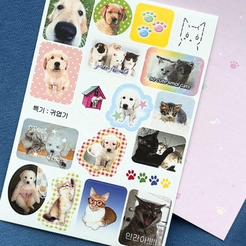 Mini Deco Sticker_Pet