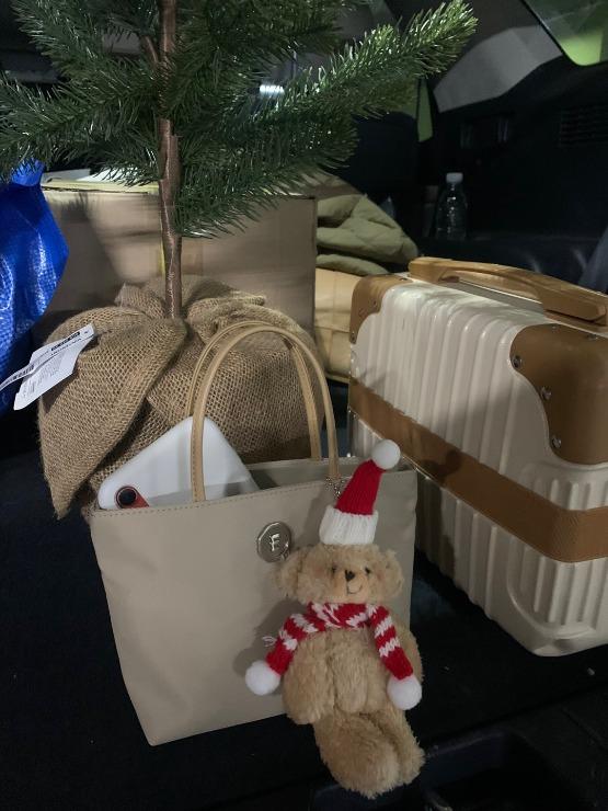 santa bear keyring - 2colors