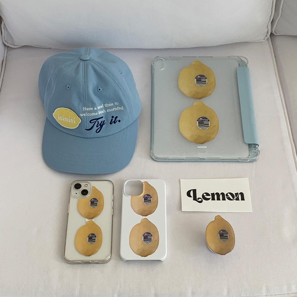 lemon iPad case