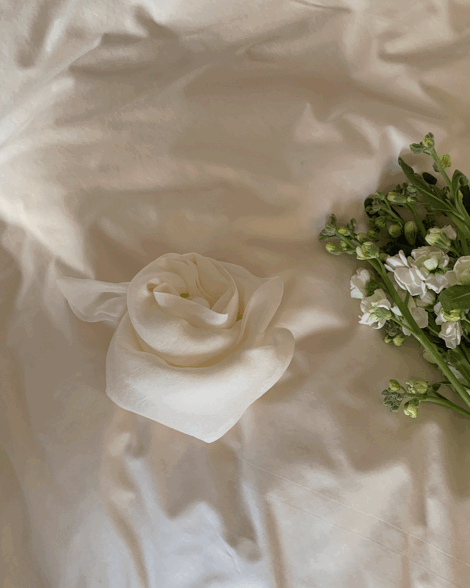 파인땡큐 실키롱스카프 2color