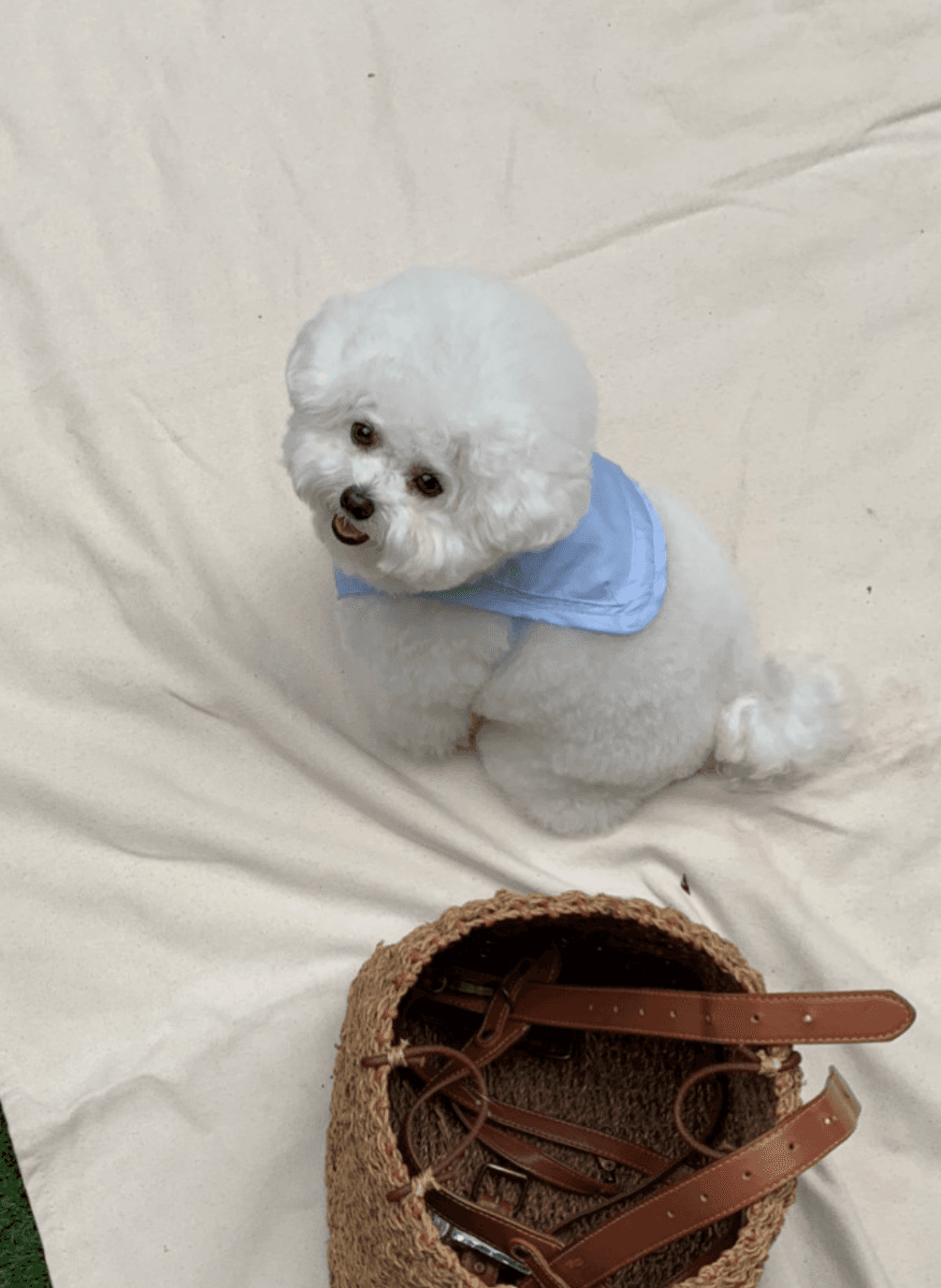 [3차] 듀라론 포켓 뷔스티에 (blue) + 젤팩포함