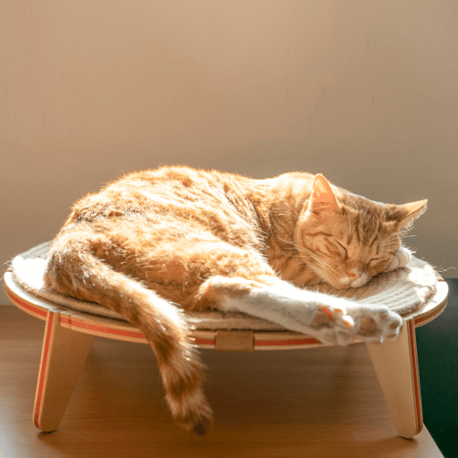 해먹 스크래쳐  고양이침대 [냥이마루]