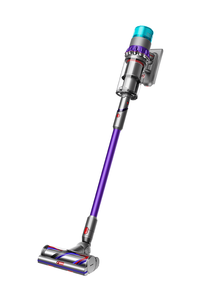 다이슨 Gen5 디텍트™ 컴플리트(퍼플/퍼플)