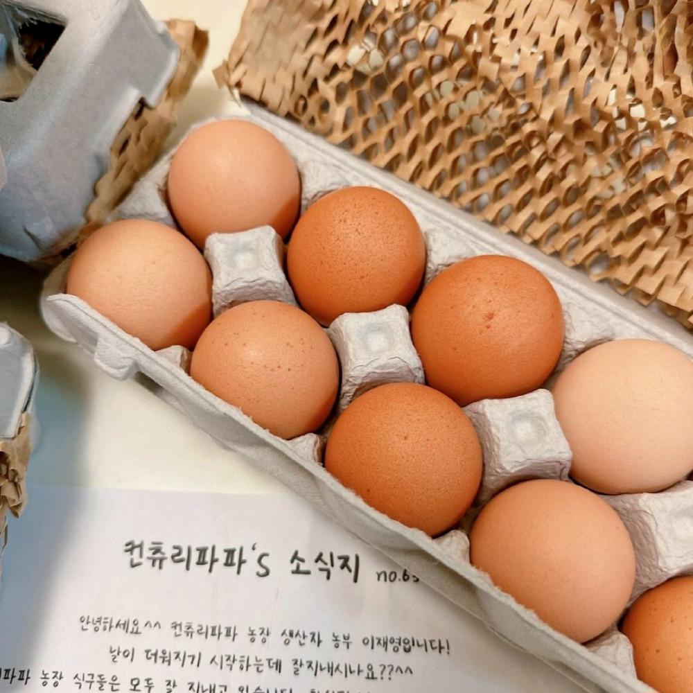 컨츄리파파농장 방사 유정란 40구 계란